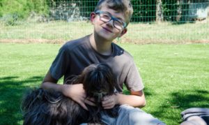 Les bichons sous le soleil de Lozère !