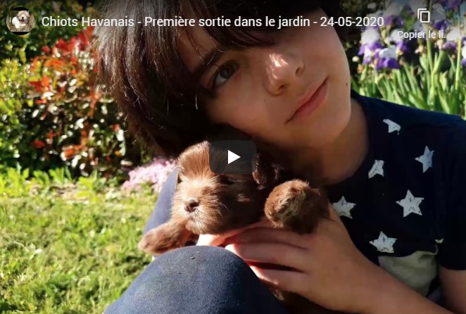 Vidéo première sortie dans le jardin pour Roxane et Ruffy