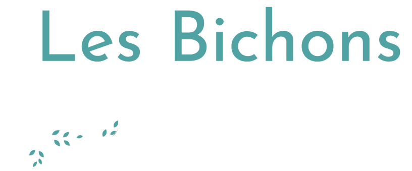 Elevage Bichons Havanais (Havanese)