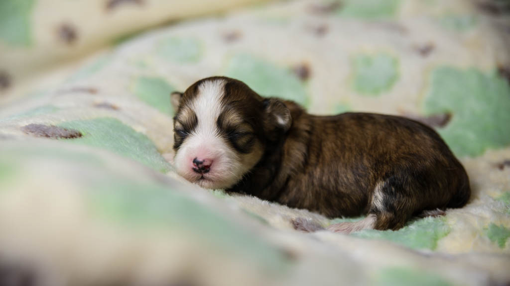 DSC_1618-small