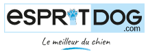 Esprit dog - formation pour éduquer votre chiot